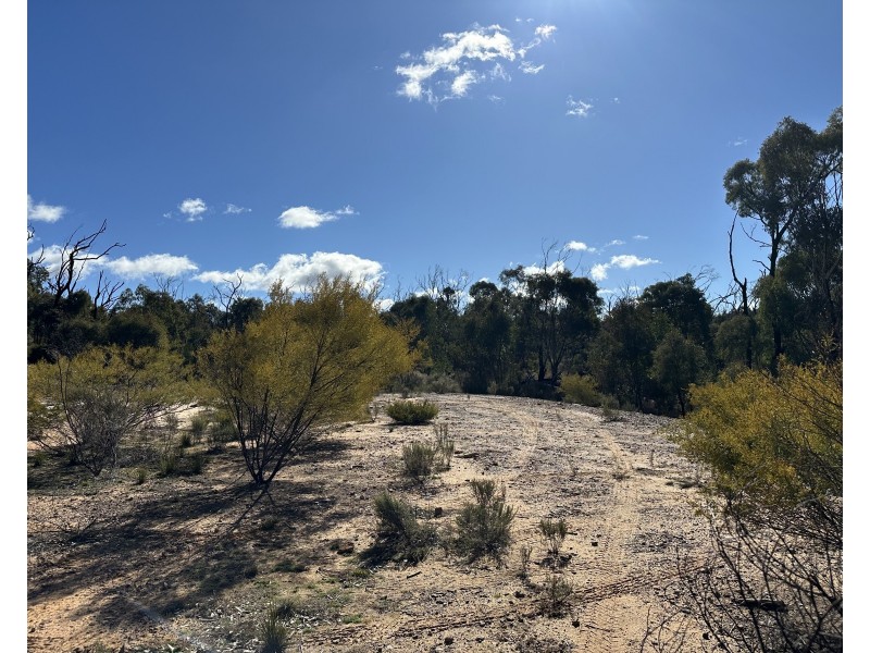 454 Cainbil Road, Coolah NSW 2843