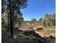 454 Cainbil Road, Coolah NSW 2843