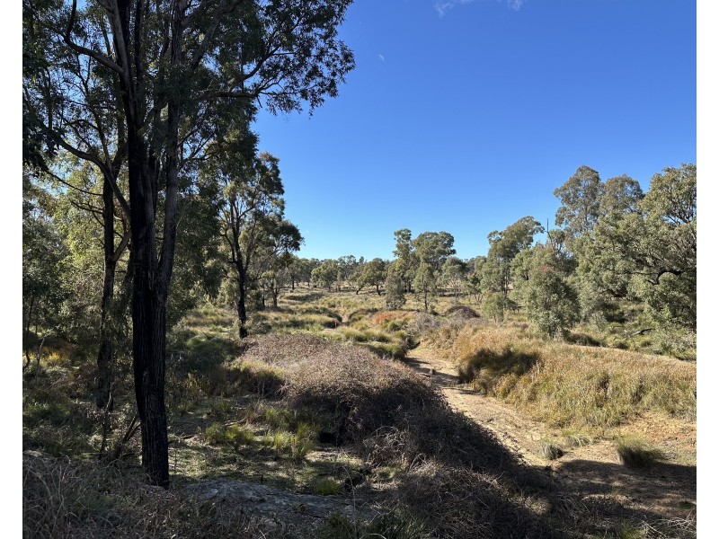 454 Cainbil Road, Coolah NSW 2843