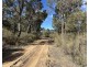454 Cainbil Road, Coolah NSW 2843