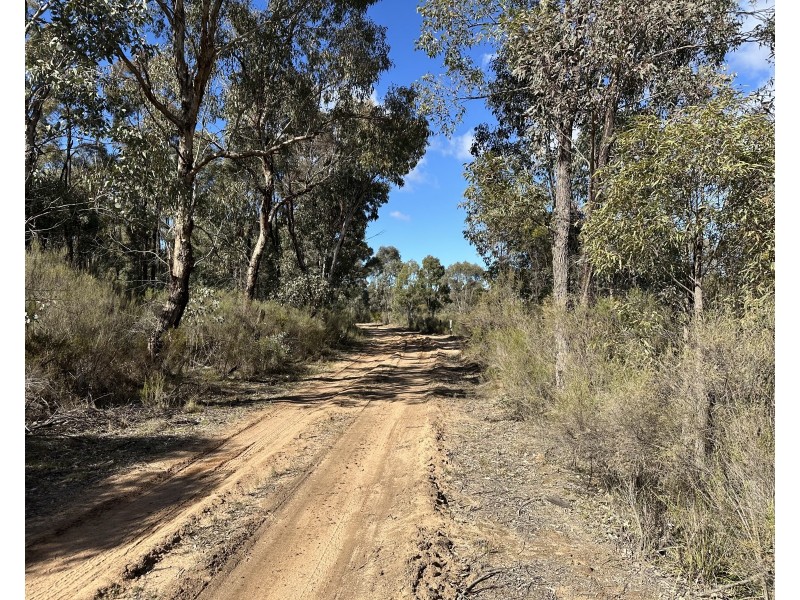 454 Cainbil Road, Coolah NSW 2843
