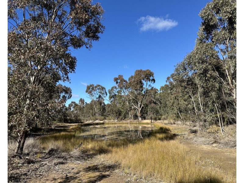 454 Cainbil Road, Coolah NSW 2843