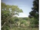 454 Cainbil Road, Coolah NSW 2843
