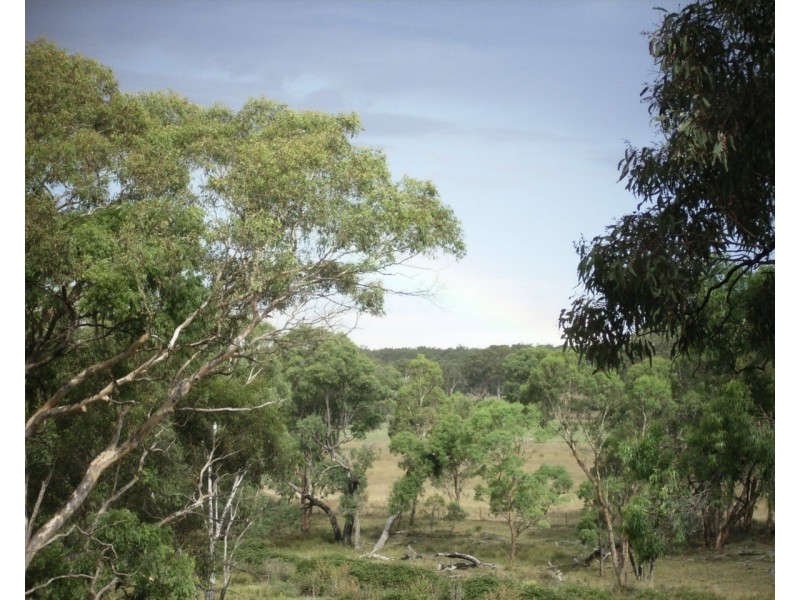 454 Cainbil Road, Coolah NSW 2843