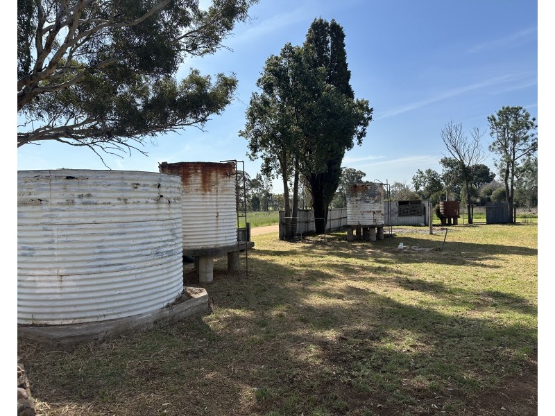 17 Channon Street, Leadville Via, Dunedoo NSW 2844