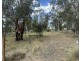 34 Bomera Street, Premer NSW 2381