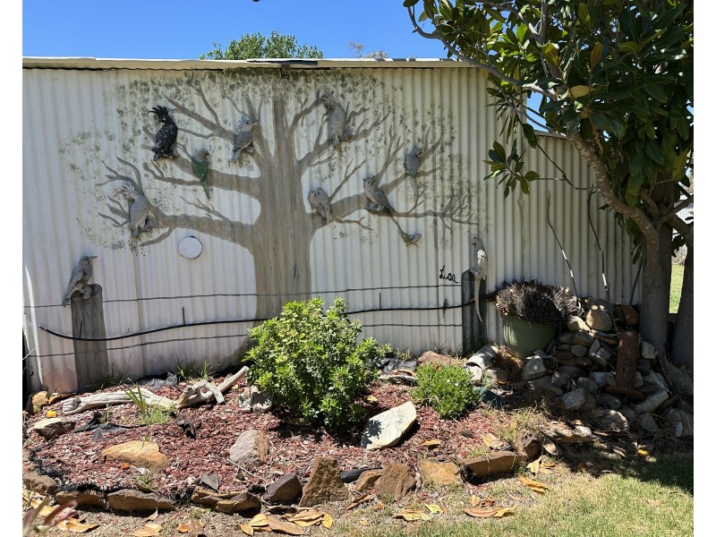 14 Oban Street, Coolah NSW 2843