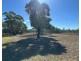 19-21 Clarke St, Leadville via, Dunedoo NSW 2844