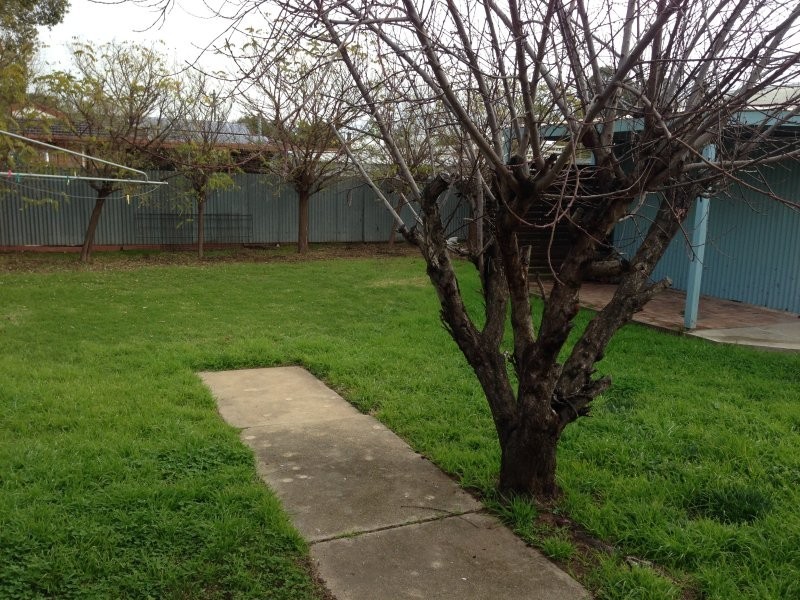 434 Harfleur Street, Deniliquin NSW 2710