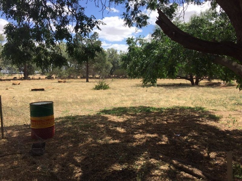 1385 Mayrung Road, Deniliquin NSW 2710