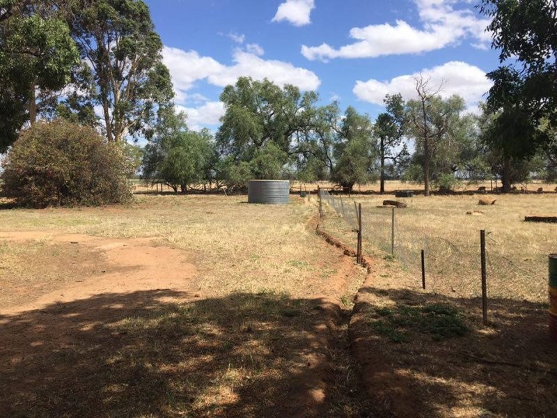 1385 Mayrung Road, Deniliquin NSW 2710