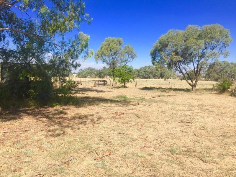 4 Mackenzie Street, Conargo NSW 2710