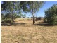 4 Mackenzie Street, Conargo NSW 2710