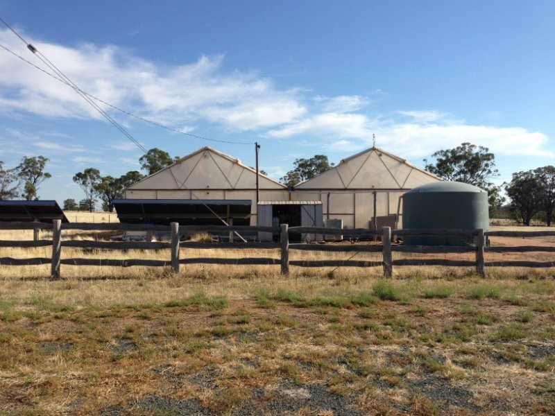 Cobb Highway, Deniliquin NSW 2710
