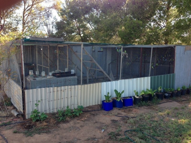 Cobb Highway, Deniliquin NSW 2710