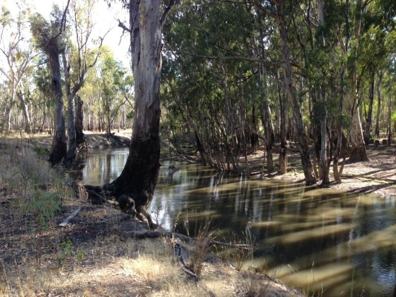 Cobb Highway, Deniliquin NSW 2710