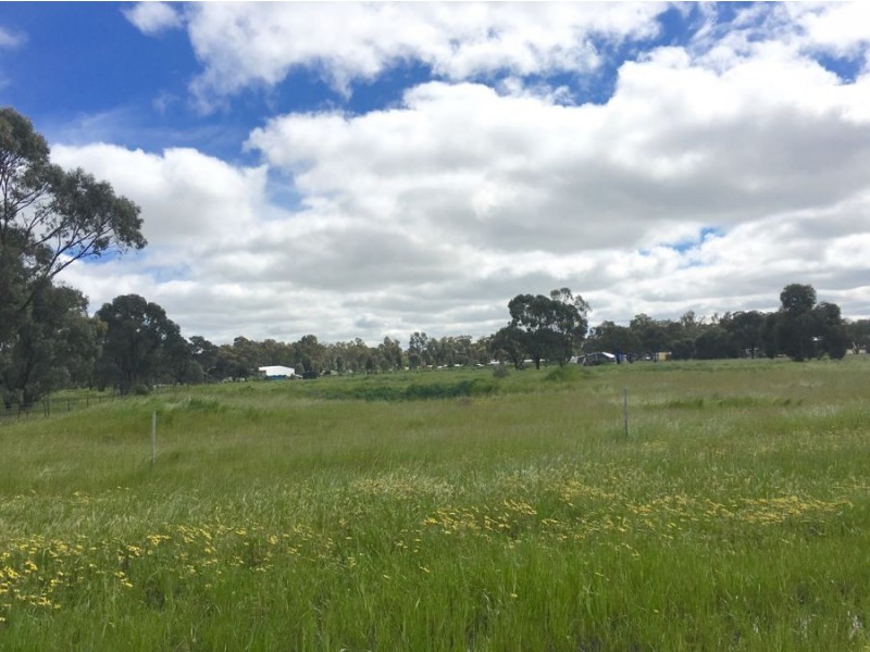 18 Riverview Drive, Deniliquin NSW 2710