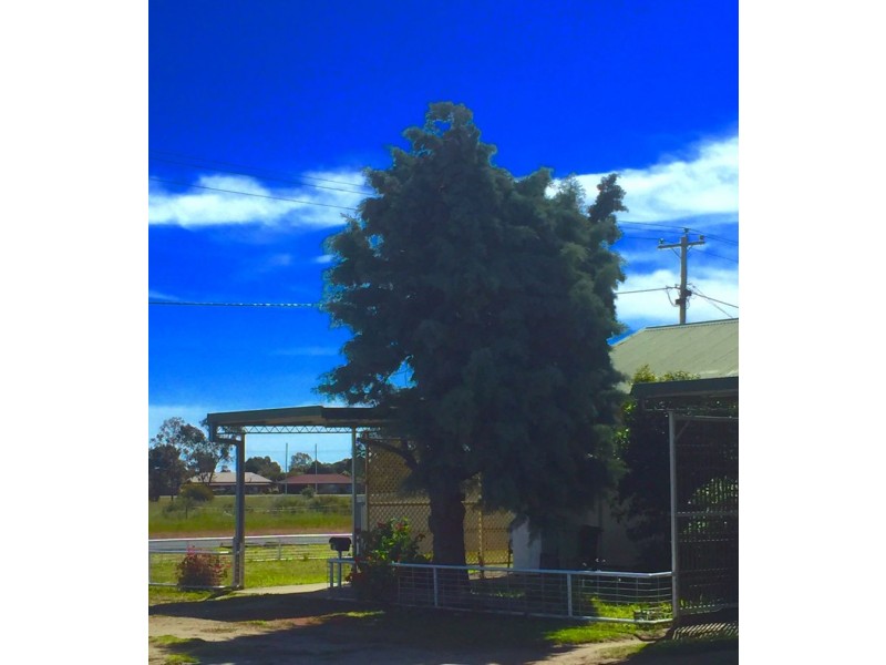 3/267 Hetherington st, Deniliquin NSW 2710