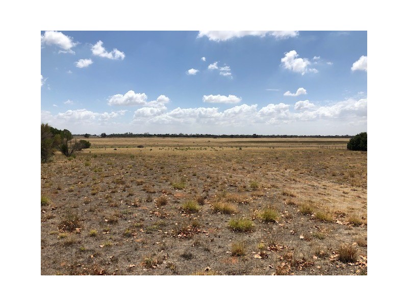 7 CONARGO ROAD, Deniliquin NSW 2710