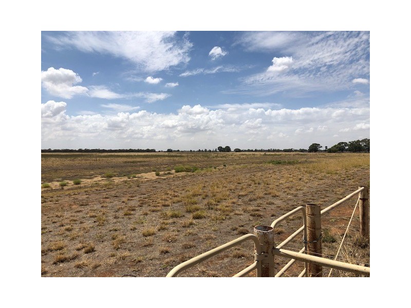 7 CONARGO ROAD, Deniliquin NSW 2710