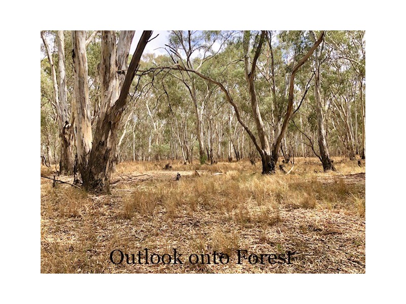 322 JONES AVENUE, Deniliquin NSW 2710