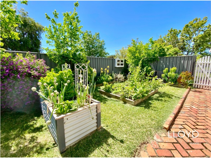 220 Henry Street, Deniliquin NSW 2710