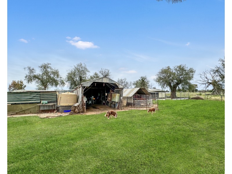 27 Gum Tree Lane, Hay NSW 2711