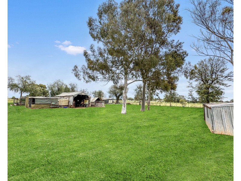 27 Gum Tree Lane, Hay NSW 2711