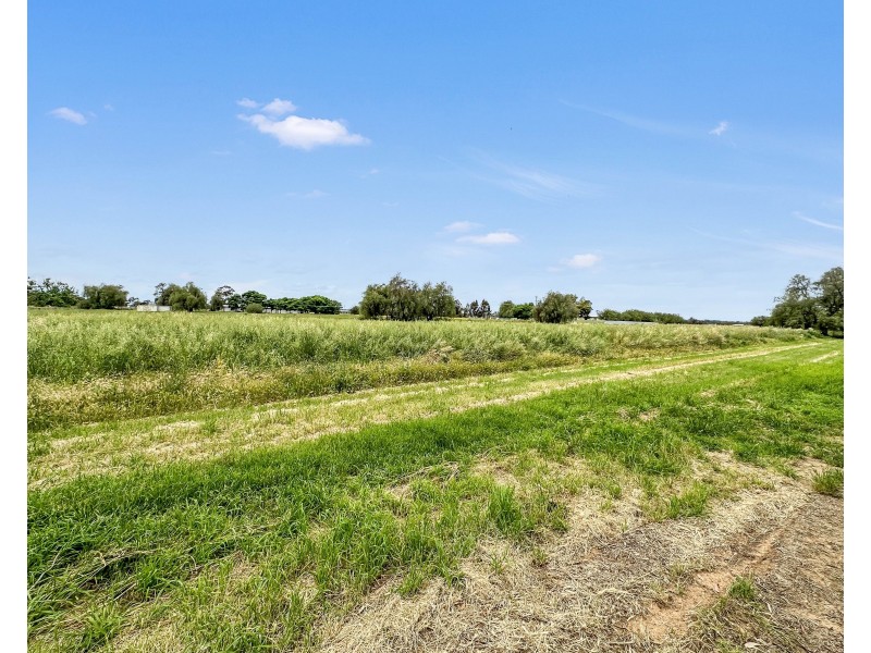 27 Gum Tree Lane, Hay NSW 2711