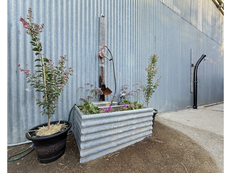 343 Herriott Street, Deniliquin NSW 2710