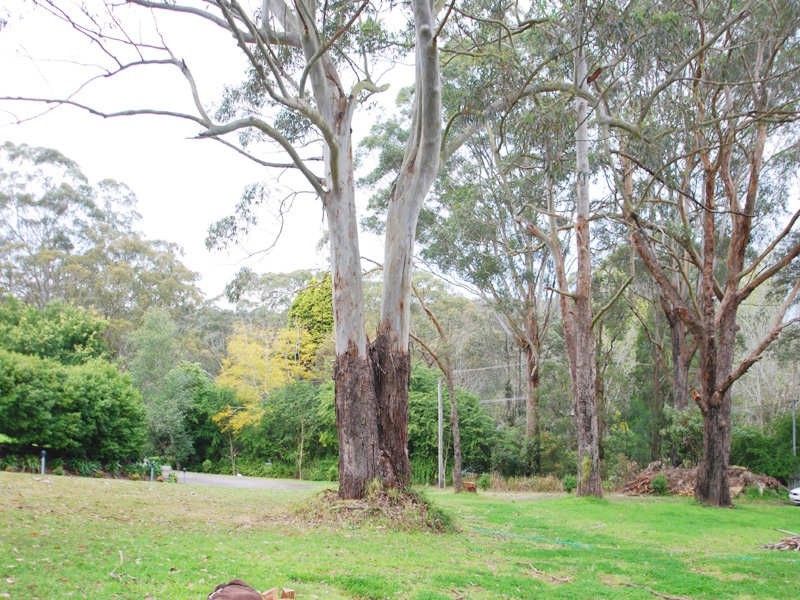 Green Point NSW 2251