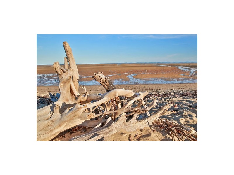 Lot 829 PALMS AT THE BEACH, East Mackay QLD 4740