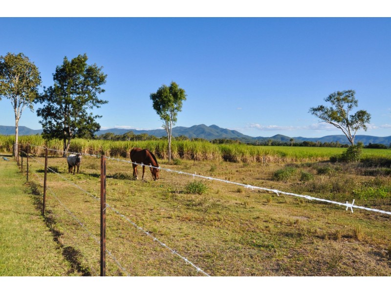 29 North Eton Road, Eton QLD 4741