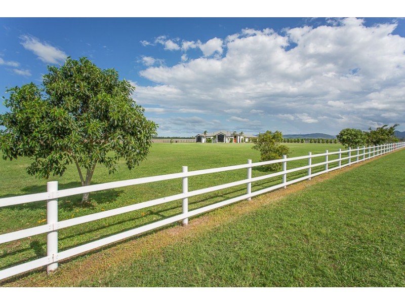 51 Clive Rogers Drive, Mirani QLD 4754
