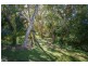 6 Bourke Street, Blacks Beach QLD 4740