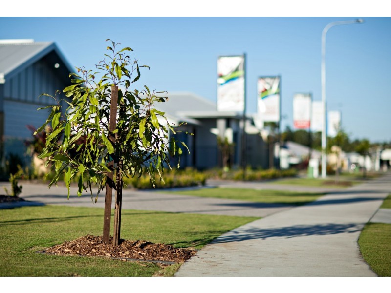 53 Bellavista Circuit, Beaconsfield QLD 4740