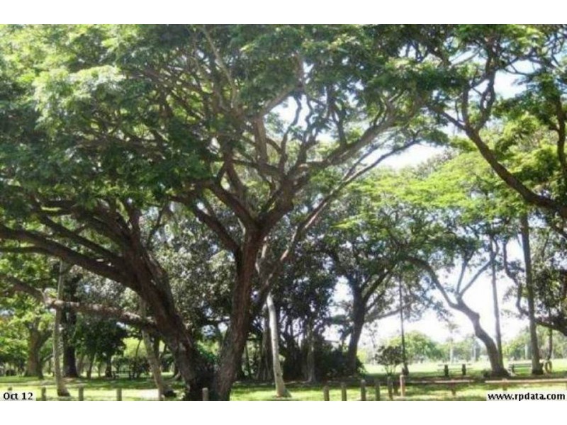 1/6 East Gordon Street, Mackay QLD 4740