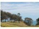 14 Albatross Street, Slade Point QLD 4740