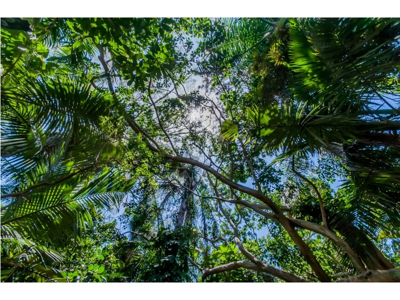 7 Nilsson Court, Bucasia QLD 4750
