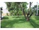 990 Yakapari-Habana Road, Habana QLD 4740
