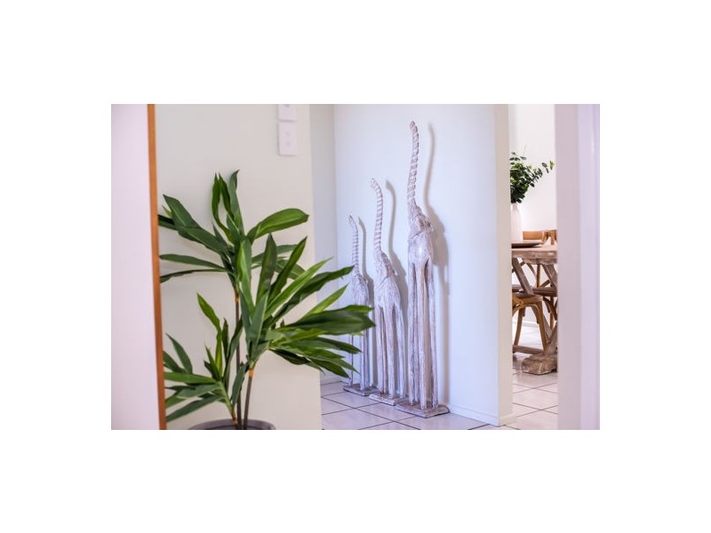 8 Charles Hodge Ave, Mount Pleasant QLD 4740