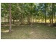 441 Marian-Hampden Road, Marian QLD 4753
