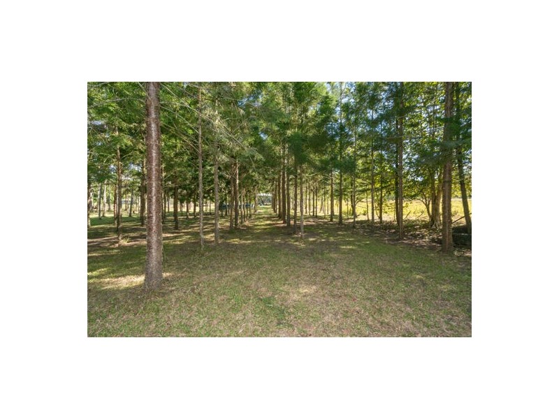 441 Marian-Hampden Road, Marian QLD 4753