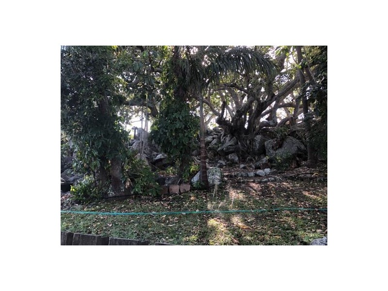 66 Daniel Street, Mount Pleasant QLD 4740