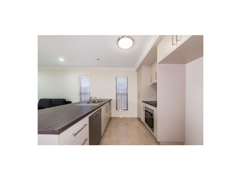 7 Cicada Lane, Andergrove QLD 4740