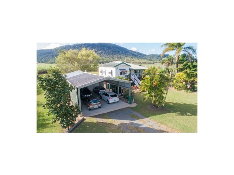 368 Devereux Creek Road, Devereux Creek QLD 4753