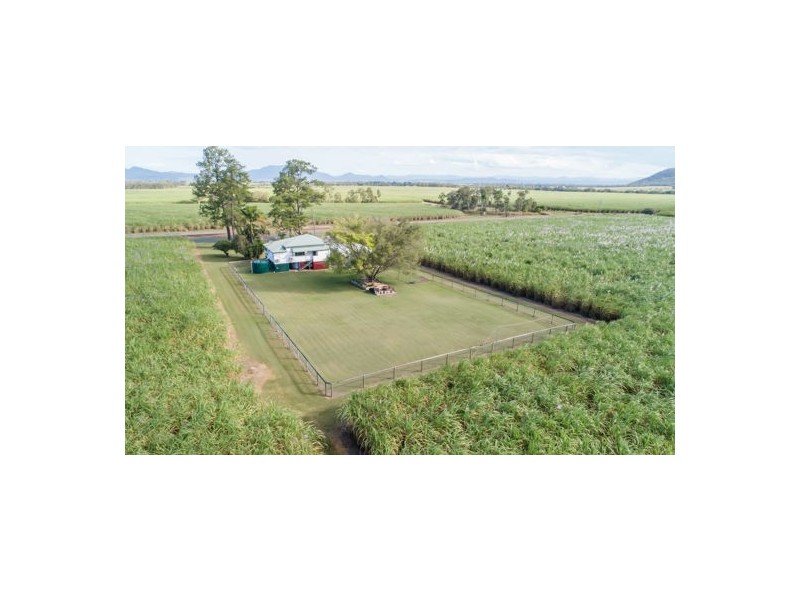 368 Devereux Creek Road, Devereux Creek QLD 4753