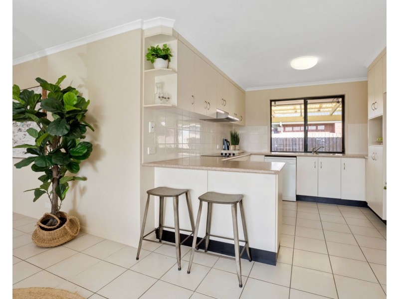 8 Fiona Court, Mount Pleasant QLD 4740