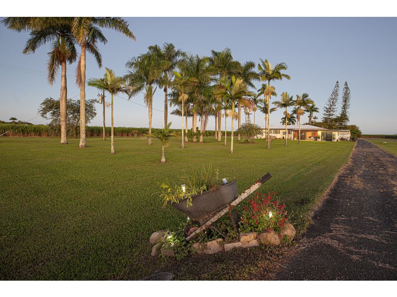 565 Homebush Road, Sandiford QLD 4740
