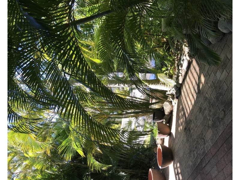 4/18 Beach Rd, Dolphin Heads QLD 4740